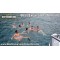 Eden Catamaran (2 Hours) Copy